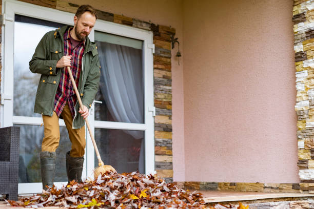 Yard Cleanup Services in Orfordville, WI